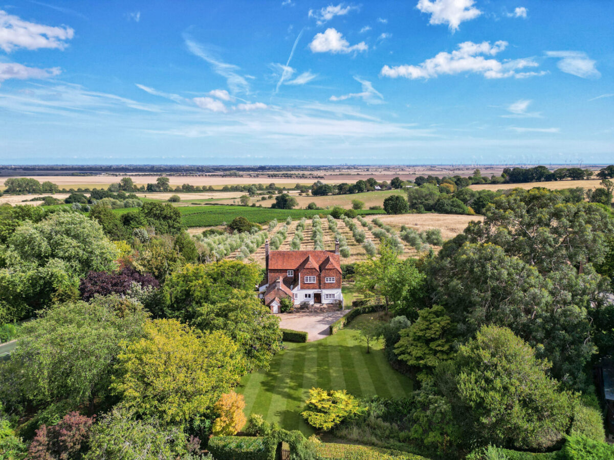 Stone, Kent, TN30